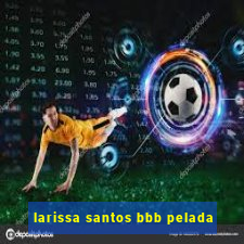 larissa santos bbb pelada